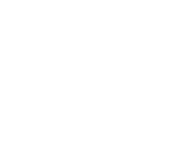 Grill Guru